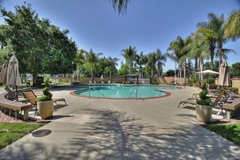 Resort style pool 